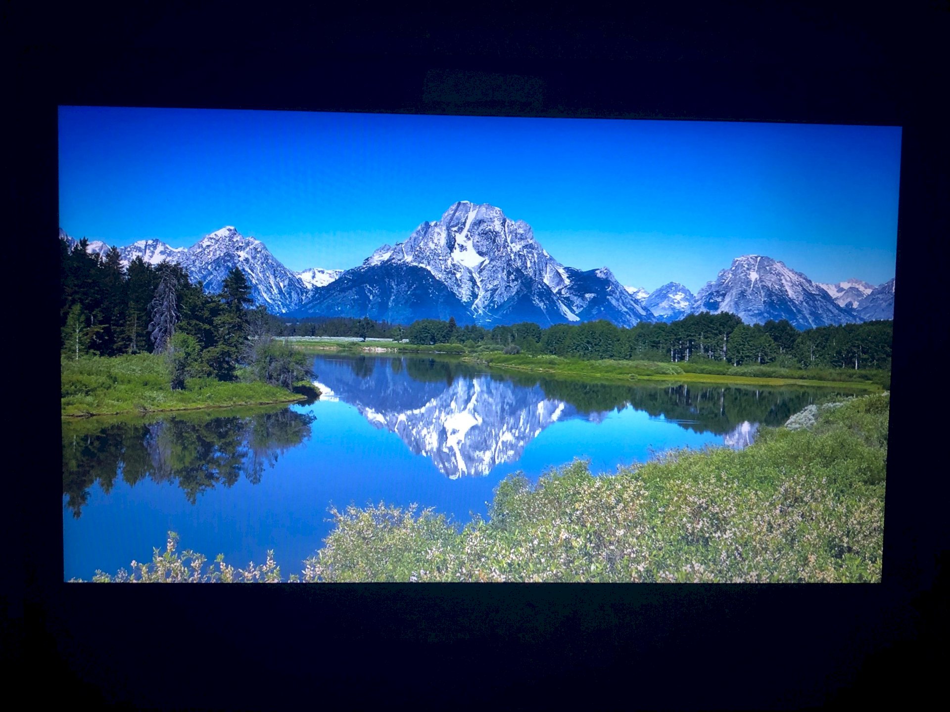 Does the login field not pop up on Windows