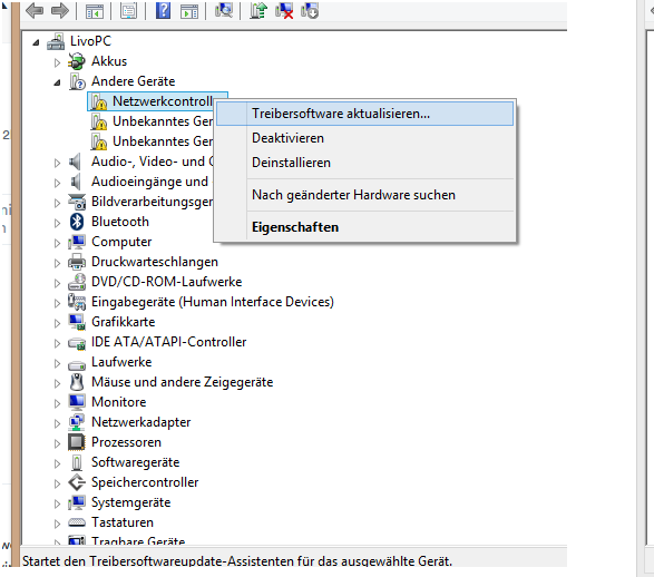 Could it be because of these missing drivers that both Bluetooth and W-Lan do not work for me - 1