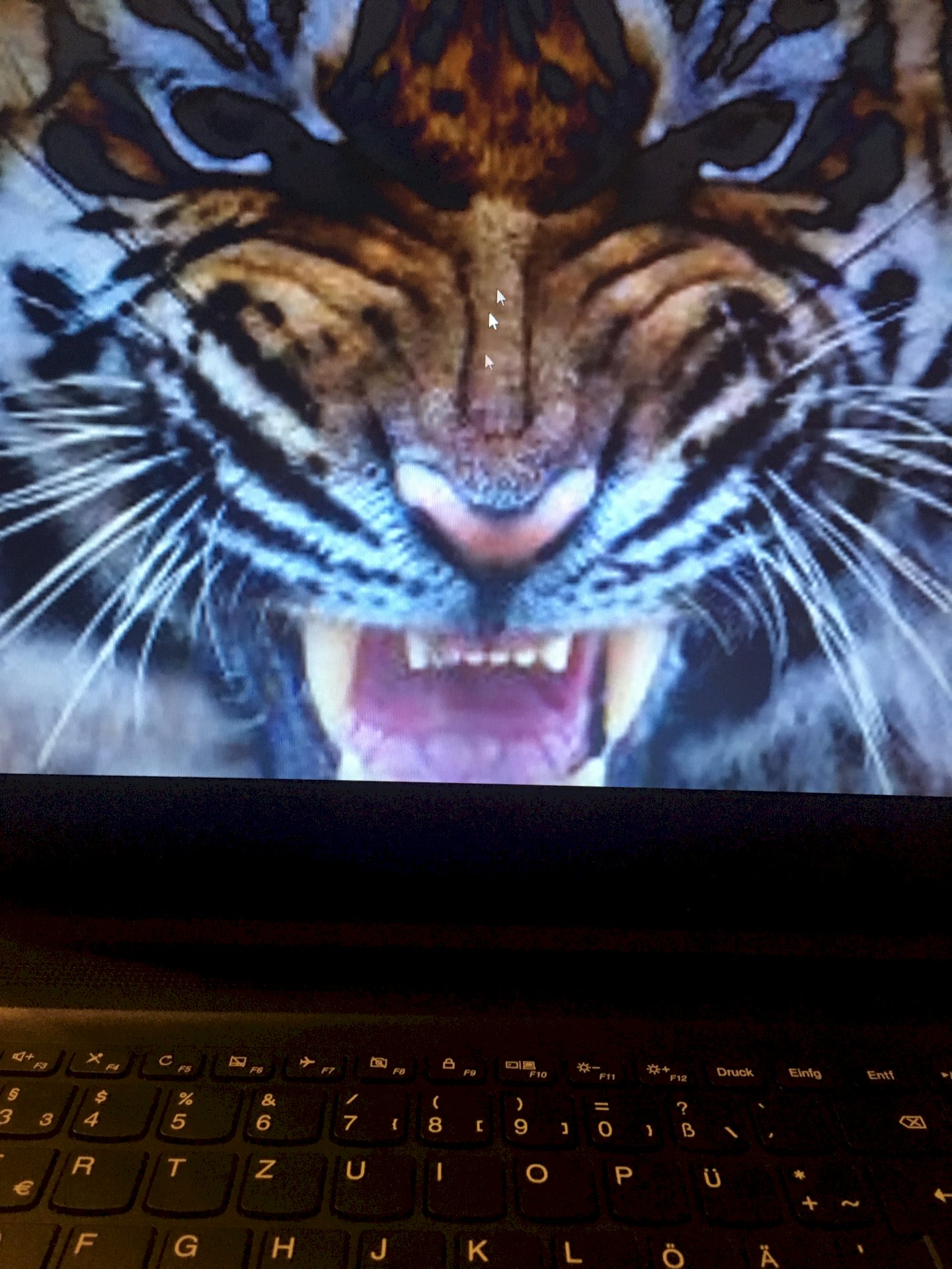 Laptop does not log in