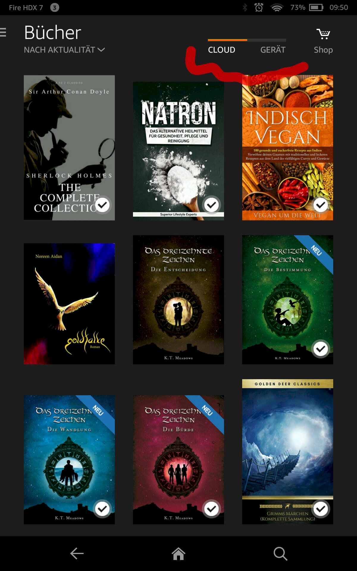 Amazon Kindle books gone, by resetting another device can I restore these even if there were Amazon stranger books