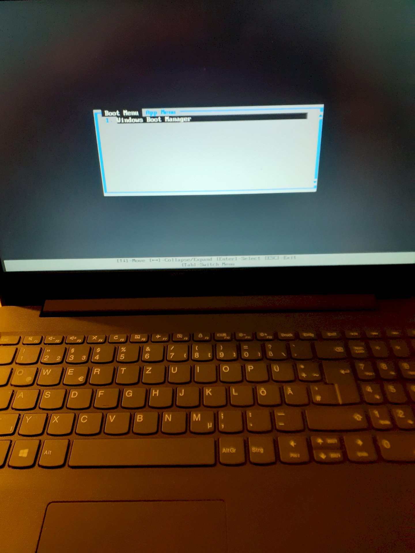 Laptop starts up and comes to the boot menu. What should I do