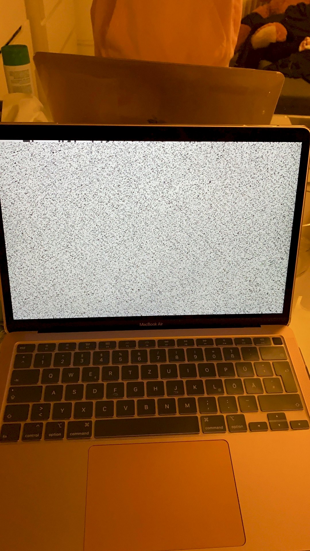 Big Sur installed on Mac Book Air 2020 and problems who too