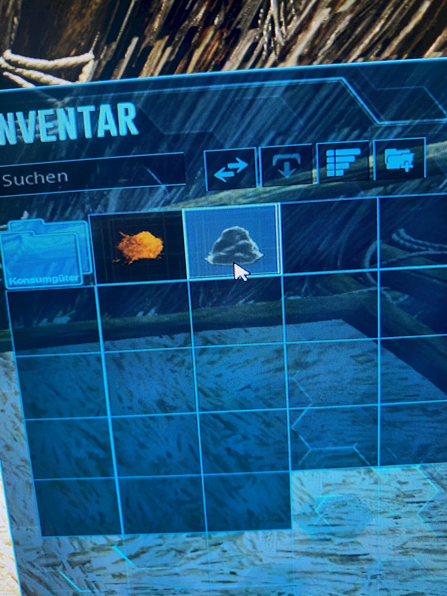 Ark needed things are not displayed - 1