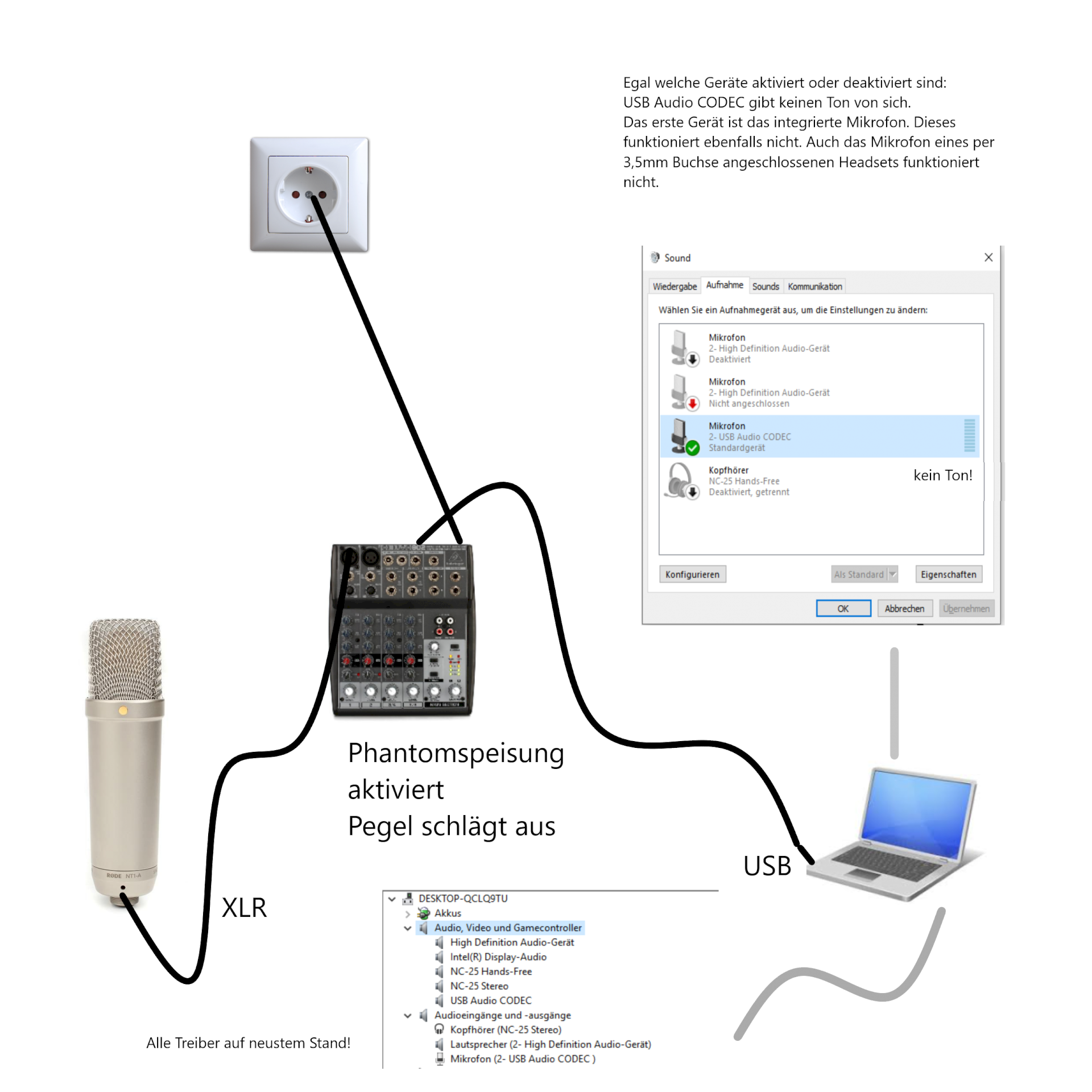 PC simply does not want to record sound. Neither integrated microphone headset nor condenser microphones connected via USB interface work. What to do